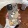 MCSYK1006-jerry-1