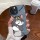 MCSYK1006-tom-2