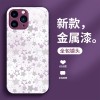 قابلة للتطبيق على Apple 16Plus Mobile Phone Case 15/14 Star Pattern Design 13 Trend 7Plus Metal 12 Internet Celebrity 11 Pully Package قابلة للتطبيق على Apple 16Plus Mobile Phone Case 15/14 Star Pattern Design 13 Trend 7Plus Metal 12 Internet Celebrity 11 Pully Package