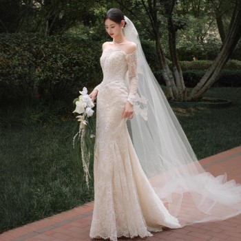 فستان زفاف خفيف بكتف واحد من الدانتيل بتصميم فرنسي كلاسيكي بأكمام طويلة، فستان سهرة أنيق من الشاش بتصميم ذيل السمكة، مناسب لحفلات الزفاف والمناسبات الرسمية.