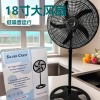 Cross-Border Silver Crest Household Floor Fan with Oscillating Function 18inch Large Fan Electric Fan Factory Wholesale