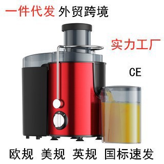 Fruit Juice Extractor Juicer Stainless Steel Juicer Fruit and Vegetable Machine Juicer Mag Juice Export