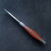 Mini Knife Outdoor Survival Knife Small Skill Knife Fruit Knife TEMU Supply Hunting Knife Field Hand-held Meat Small Straight Knife