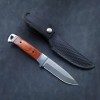 Mini Knife Outdoor Survival Knife Small Skill Knife Fruit Knife TEMU Supply Hunting Knife Field Hand-held Meat Small Straight Knife