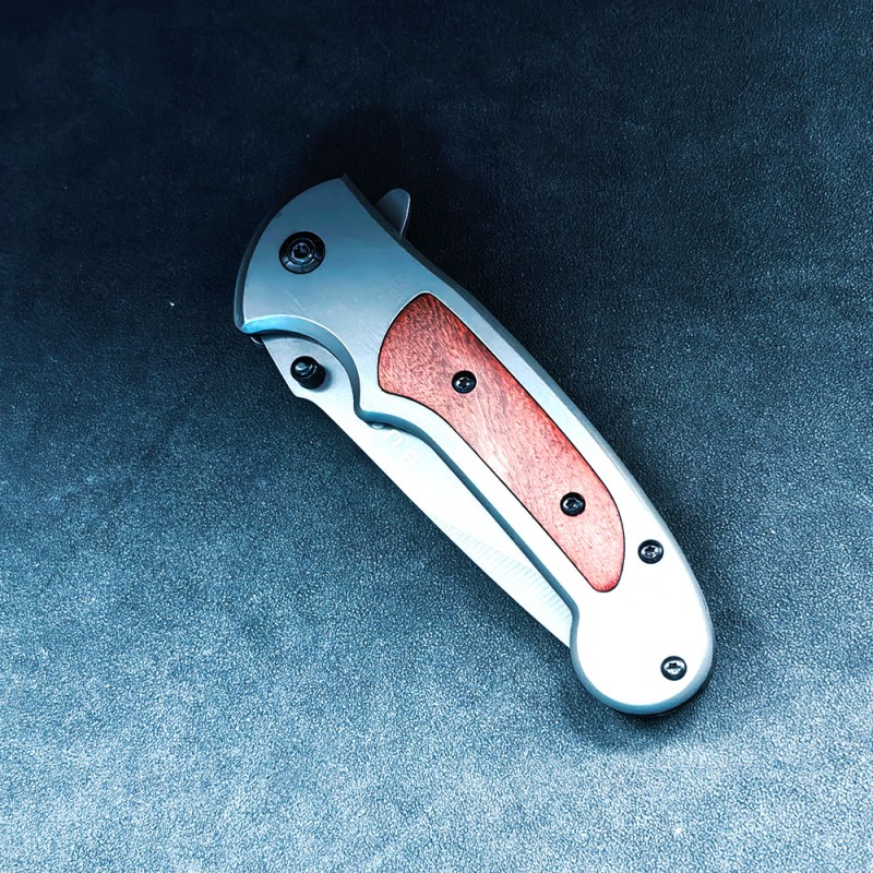 Outdoor Survival Folding Knife Da109 High Hardness Sharp Self-Defense Tool Multifunctional Car-Mounted Package Opener Fruit Knife