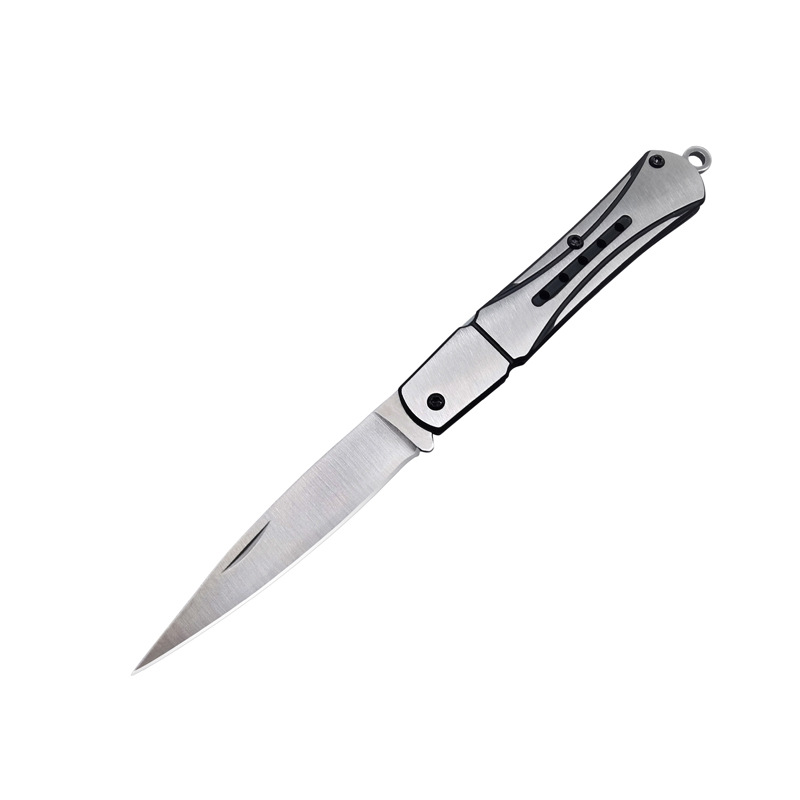 Mini Fruit Knife Household EDC Portable Knife Stainless Steel Outdoor Household Pocket Folding Knife Pocket Dispel Express Knife