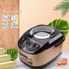 Large Capacity Reservable Transparent Cover Cross-border 5 L Rice Cooker English Skylight Rice Cooker Home Smart
