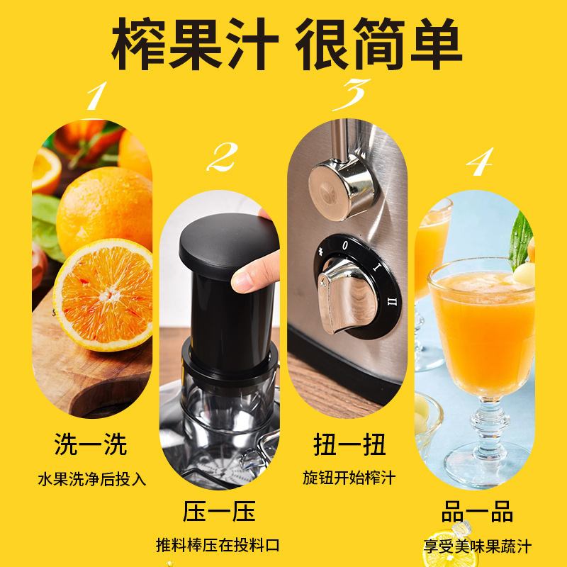 Fruit Juice Extractor Juicer Stainless Steel Juicer Fruit and Vegetable Machine Juicer Mag Juice Export