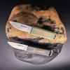 Cross-Border Bear Gryff-Style Creative Outdoor Whistle Small Straight Knife Sharp Fruit Folding Knife Jungle Adventure Mountaineering Knife