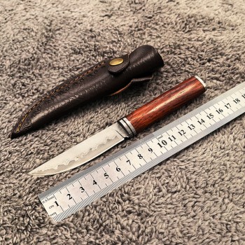 Amazon’s Best-Selling Keel Integrated Lightweight Damascus Forged Small Straight Knife Barbecue Meat Cutting Knife Fruit Knife