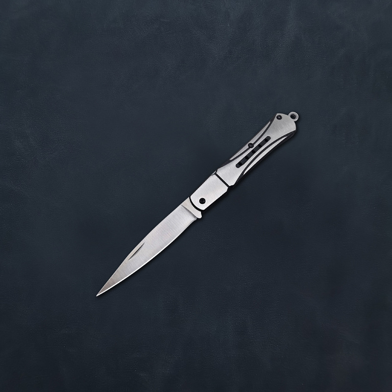 Mini Fruit Knife Household EDC Portable Knife Stainless Steel Outdoor Household Pocket Folding Knife Pocket Dispel Express Knife