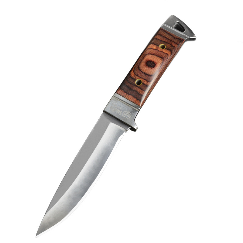 Mini Knife Outdoor Survival Knife Small Skill Knife Fruit Knife TEMU Supply Hunting Knife Field Hand-held Meat Small Straight Knife
