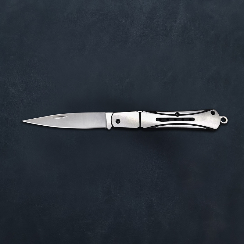 Mini Fruit Knife Household EDC Portable Knife Stainless Steel Outdoor Household Pocket Folding Knife Pocket Dispel Express Knife
