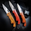Folding Knife Portable Fruit Knife Car Mini Gadget Stainless Steel Knife Field Anti-body Knife Household Folding Knife