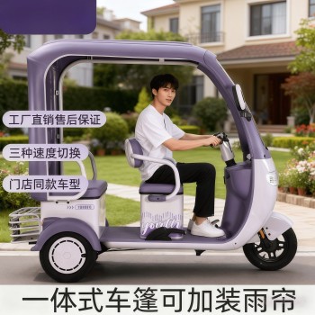 带棚电动三轮车新款国标休闲接送孩子双排客货两用电瓶车代步车