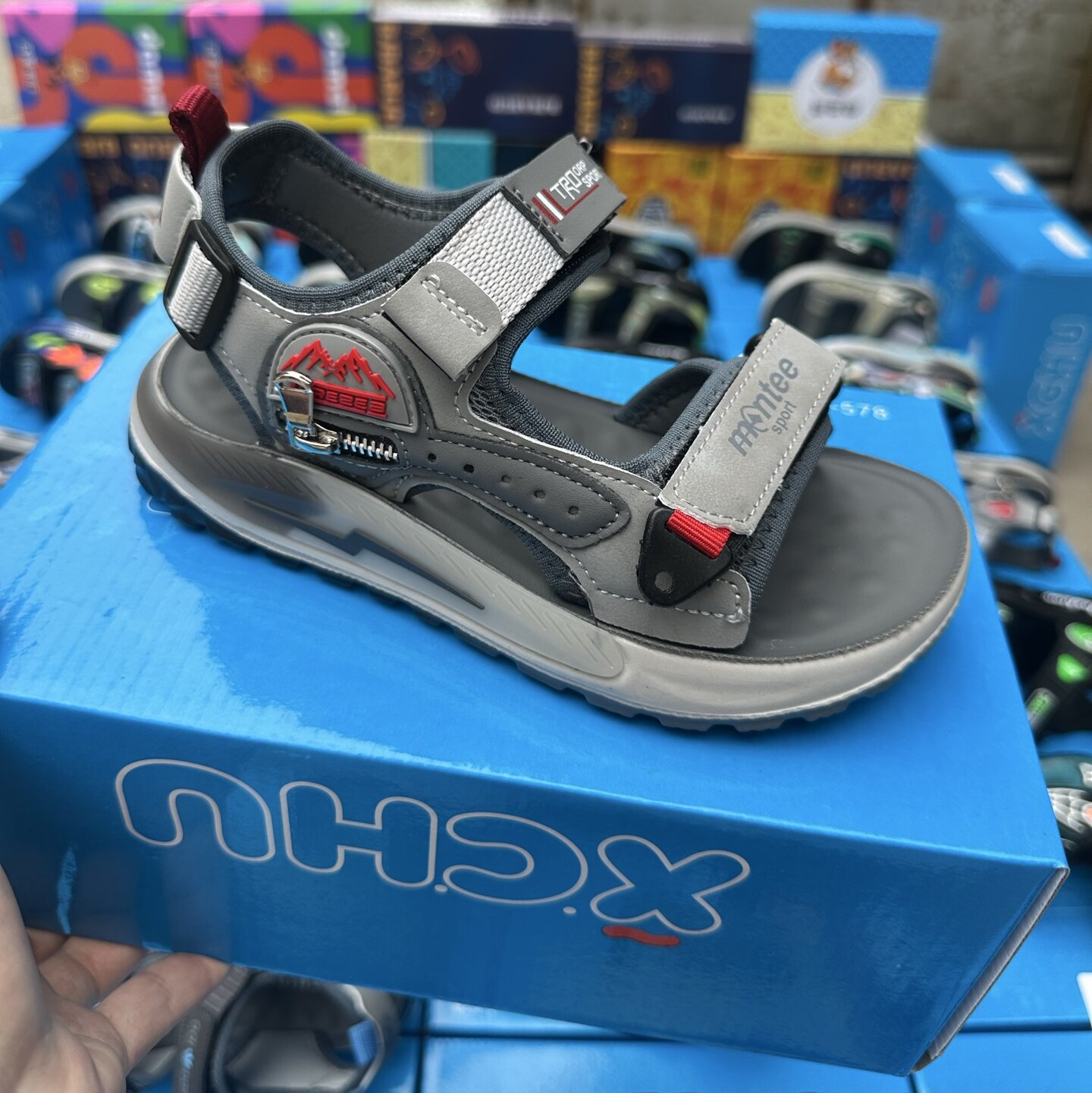 wsxc1781644098567_1.jpg